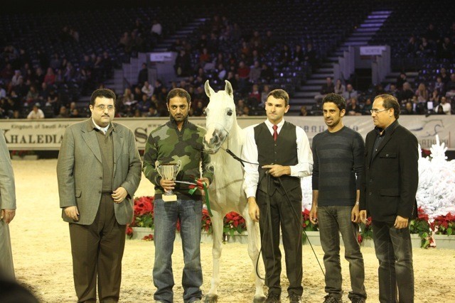 2010 Salon Du Cheval - World Championships Results