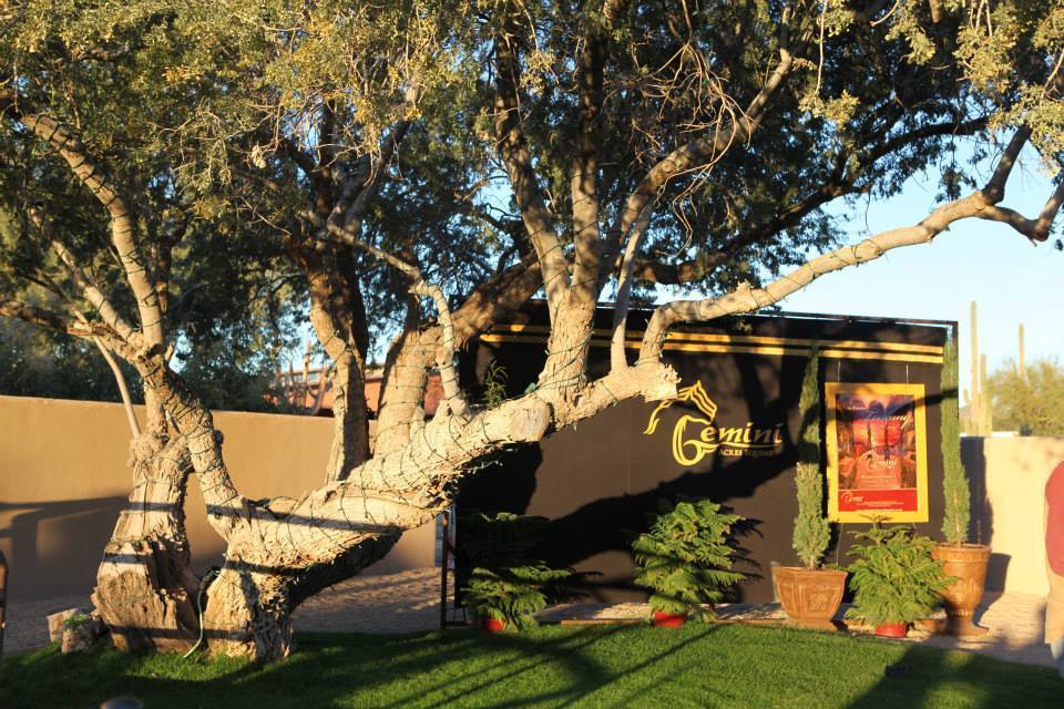 2013/2014 Arabhorse Farm Tours