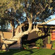 2013/2014 Arabhorse Farm Tours