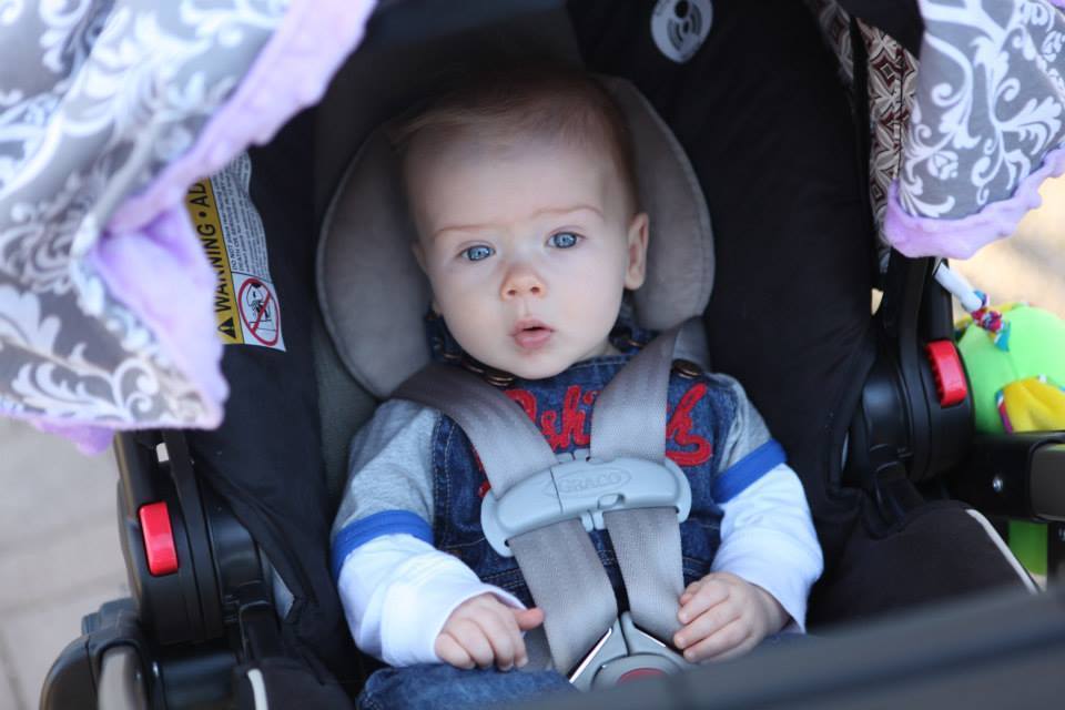 2013/2014 Arabhorse Farm Tours