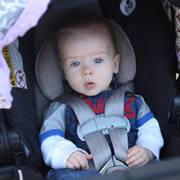 2013/2014 Arabhorse Farm Tours