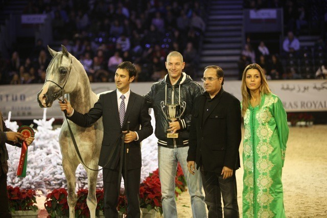 2010 Salon Du Cheval - World Championships Results