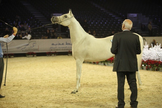 2010 Salon Du Cheval - World Championships Results