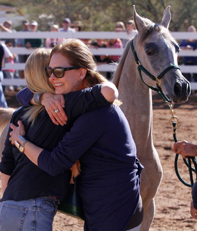 2013/2014 Arabhorse Farm Tours