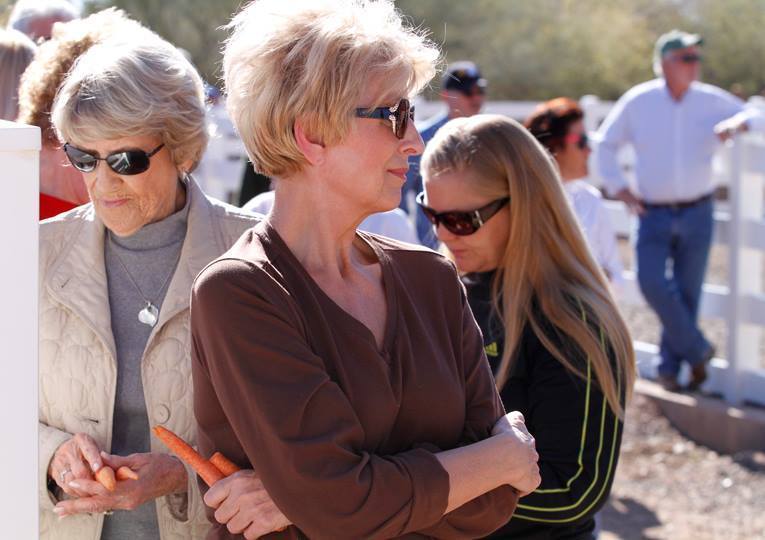 2013/2014 Arabhorse Farm Tours