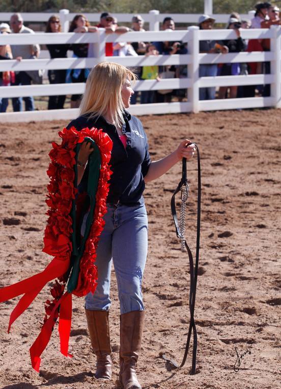 2013/2014 Arabhorse Farm Tours