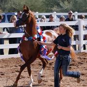 2013/2014 Arabhorse Farm Tours