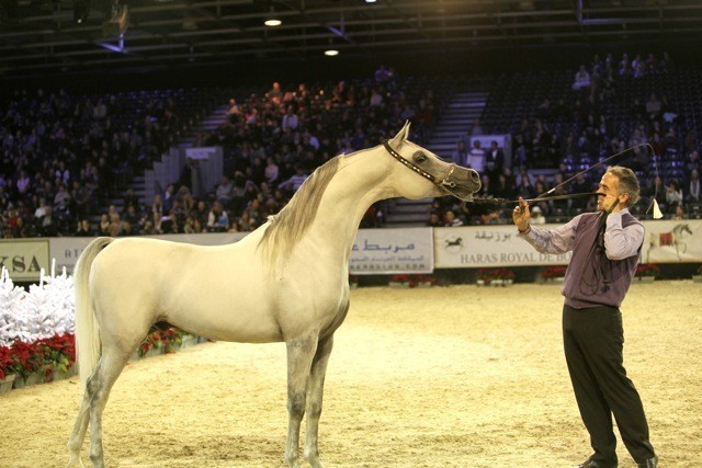 2010 Salon Du Cheval - World Championships Results