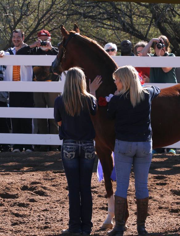 2013/2014 Arabhorse Farm Tours