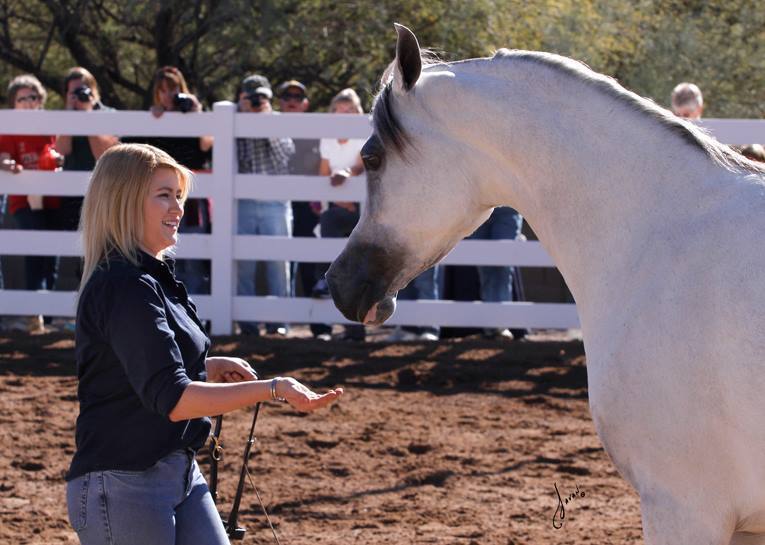 2013/2014 Arabhorse Farm Tours
