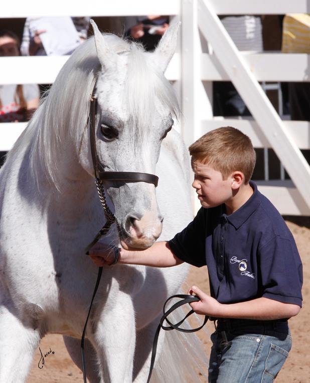 2013/2014 Arabhorse Farm Tours