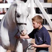 2013/2014 Arabhorse Farm Tours