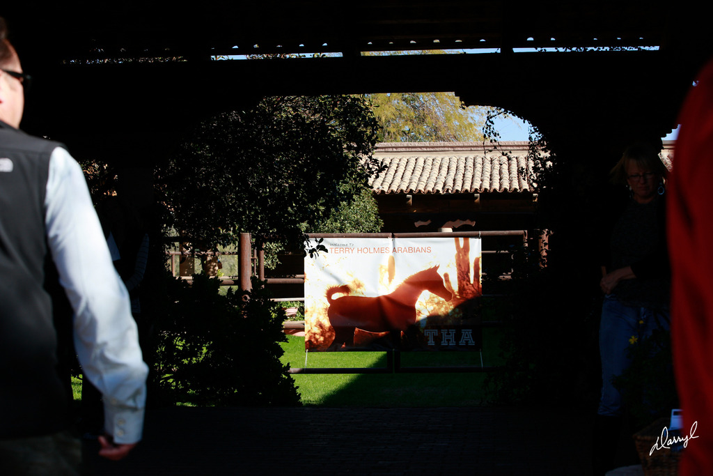 2013/2014 Arabhorse Farm Tours