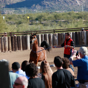 2013/2014 Arabhorse Farm Tours