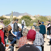 2013/2014 Arabhorse Farm Tours