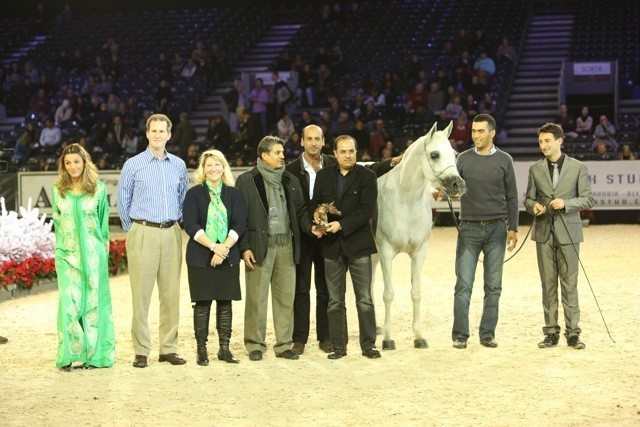 2010 Salon Du Cheval - World Championships Results