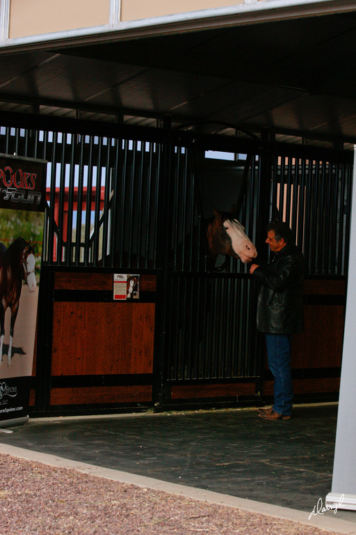 2013/2014 Arabhorse Farm Tours