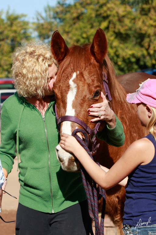 2013/2014 Arabhorse Farm Tours