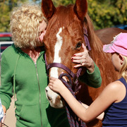 2013/2014 Arabhorse Farm Tours