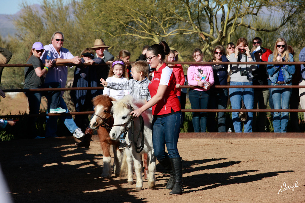 2013/2014 Arabhorse Farm Tours
