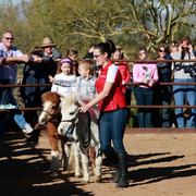 2013/2014 Arabhorse Farm Tours