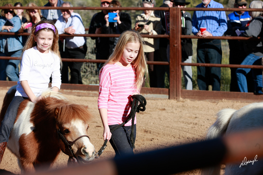 2013/2014 Arabhorse Farm Tours