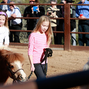 2013/2014 Arabhorse Farm Tours