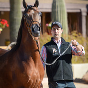 2013/2014 Arabhorse Farm Tours