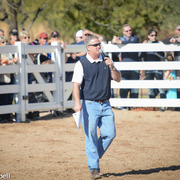 2013/2014 Arabhorse Farm Tours
