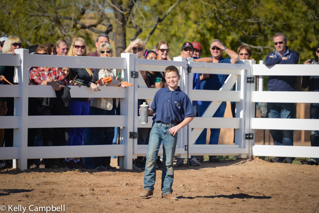 2013/2014 Arabhorse Farm Tours