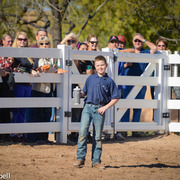 2013/2014 Arabhorse Farm Tours