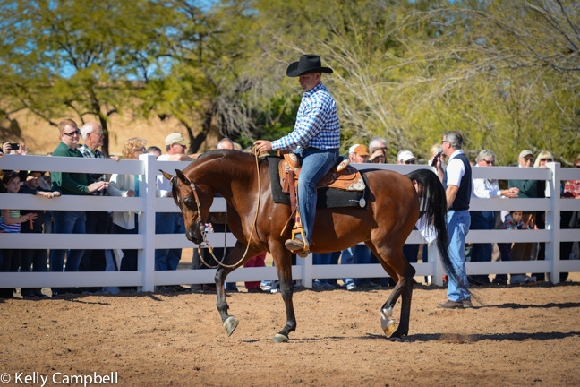 2013/2014 Arabhorse Farm Tours