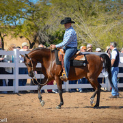 2013/2014 Arabhorse Farm Tours