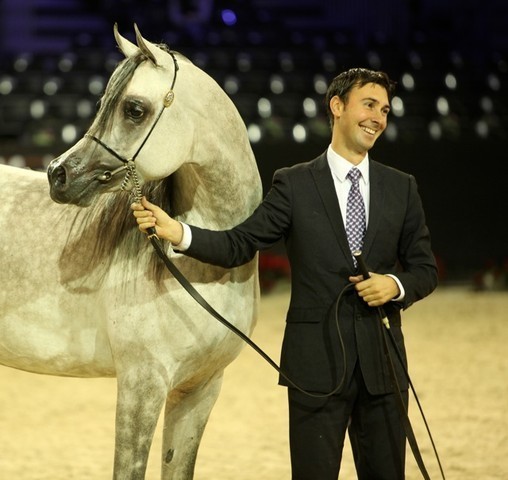 2010 Salon Du Cheval - World Championships Results