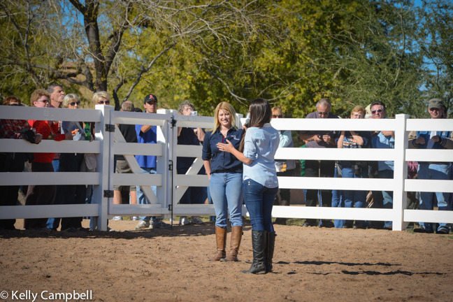 2013/2014 Arabhorse Farm Tours