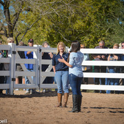 2013/2014 Arabhorse Farm Tours