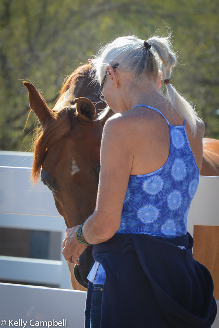 2013/2014 Arabhorse Farm Tours
