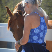 2013/2014 Arabhorse Farm Tours