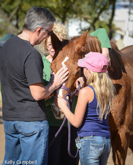 2013/2014 Arabhorse Farm Tours