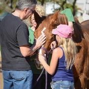 2013/2014 Arabhorse Farm Tours