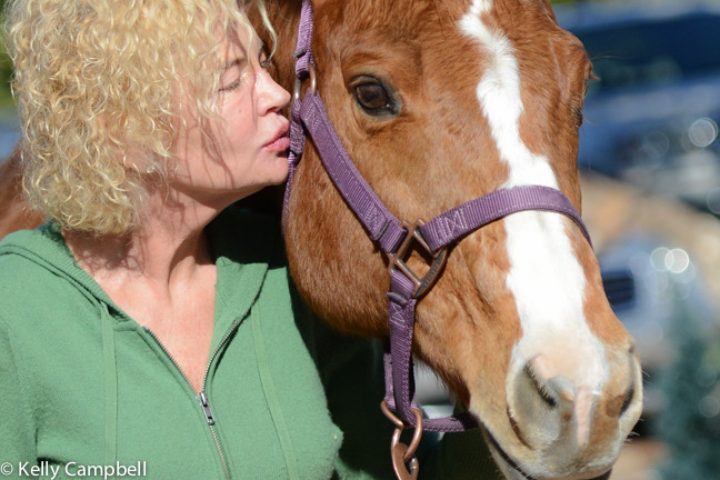 2013/2014 Arabhorse Farm Tours