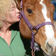 2013/2014 Arabhorse Farm Tours