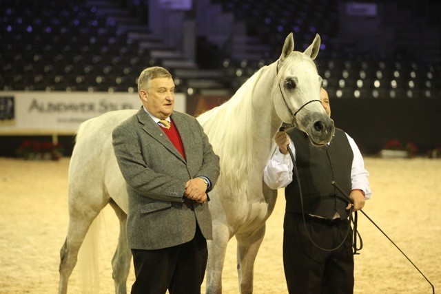 2010 Salon Du Cheval - World Championships Results