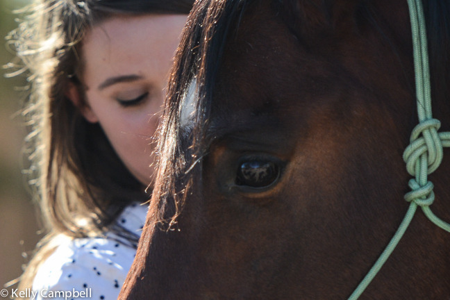 2013/2014 Arabhorse Farm Tours