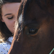 2013/2014 Arabhorse Farm Tours