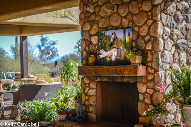 2013/2014 Arabhorse Farm Tours