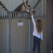 2013/2014 Arabhorse Farm Tours