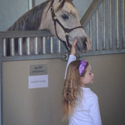 2013/2014 Arabhorse Farm Tours