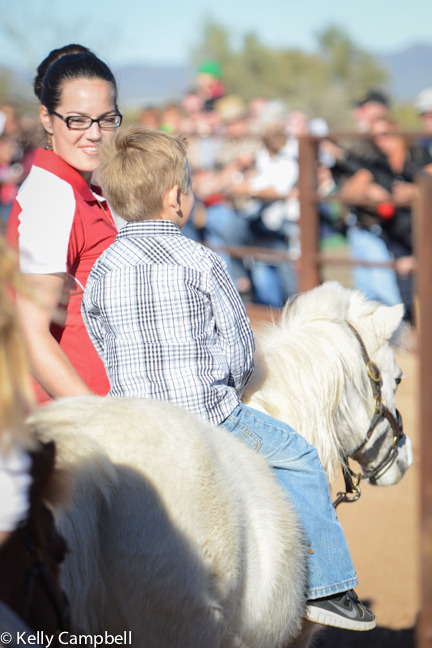 2013/2014 Arabhorse Farm Tours