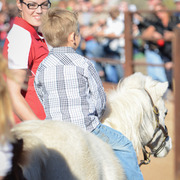 2013/2014 Arabhorse Farm Tours